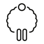 Polar icon