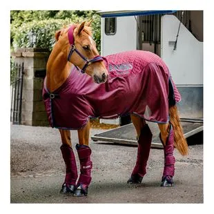 Tapis De Cheval Matelassé Amigo Horseware – Taille 56 (5'6'') – Bleu Marine – Occasion