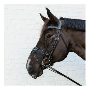 LeMieux ProKit Lite Borsa Toelettatura Nera – Organizza La Cura Del Tuo Cavallo Con Stile E Praticità