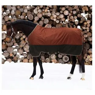 Tapis rouge pour cheval | Équipement équitation