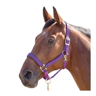 Vêtements pour femmes – Equestrian Sport