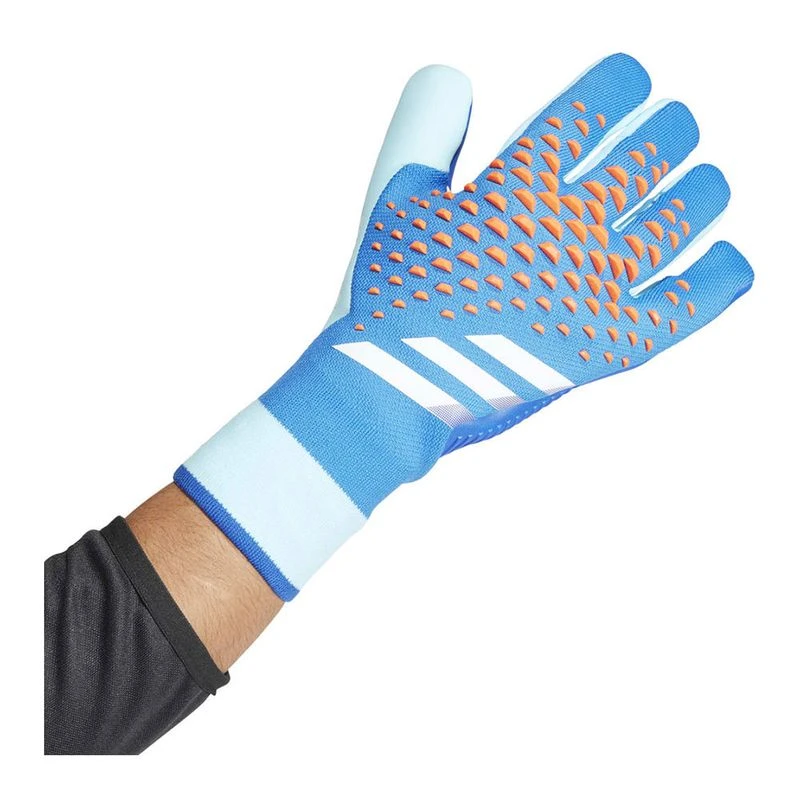 Adidas Predator Pro Handschuhe (Blau) | privatesportshop.de
