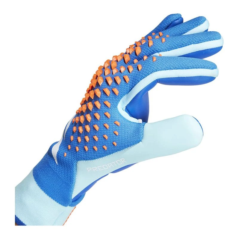 Adidas Predator Pro Handschuhe (Blau) | privatesportshop.de