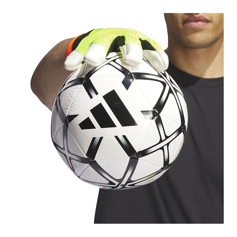 Adidas Predator Pro Hybrid Handschuhe (Grn) | privatesportshop.de
