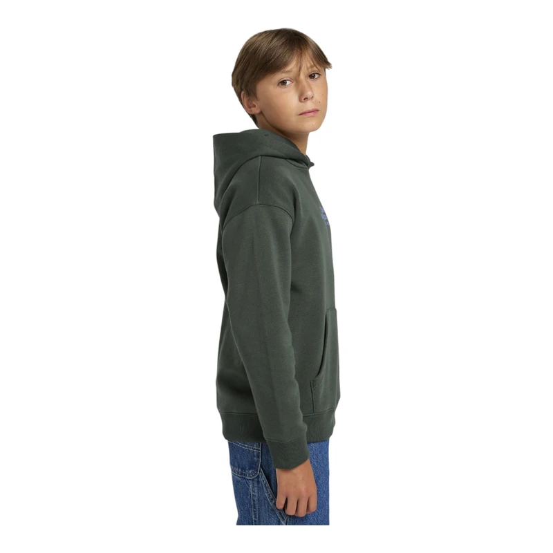 Element Boys Skateboard CO Hoody (Black/Deep Forest) | Sportpursuit.co